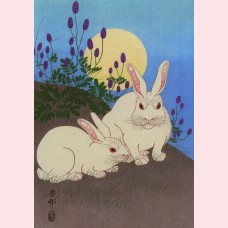 Two white rabbits under a full moon
